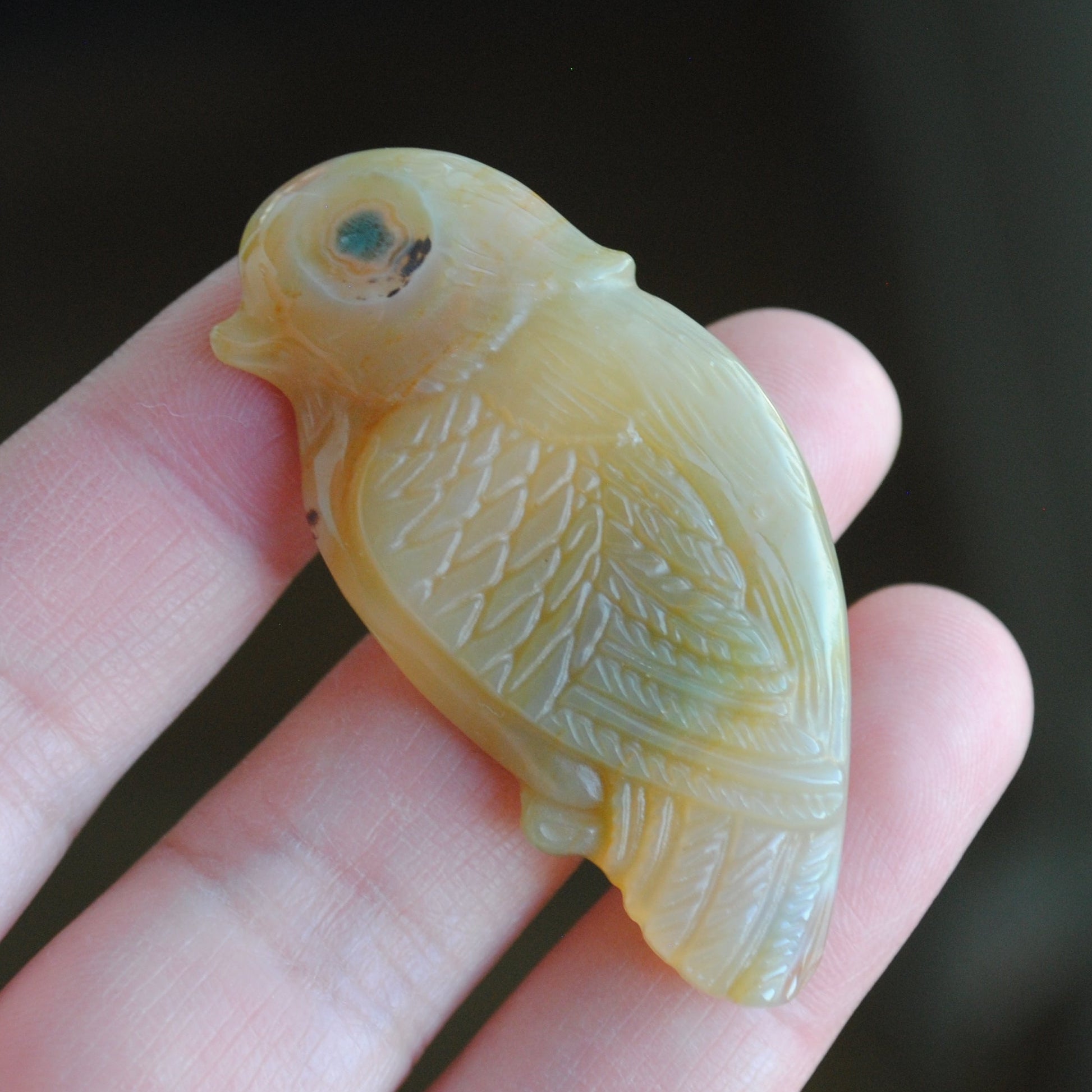Ocean Jasper carved bird held in a hand against a blurred background