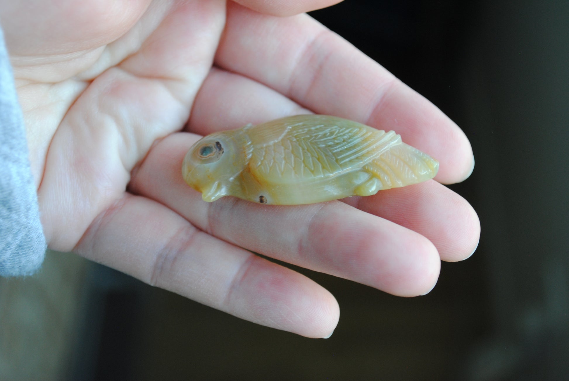 Ocean Jasper carved bird held in a hand against a blurred background
