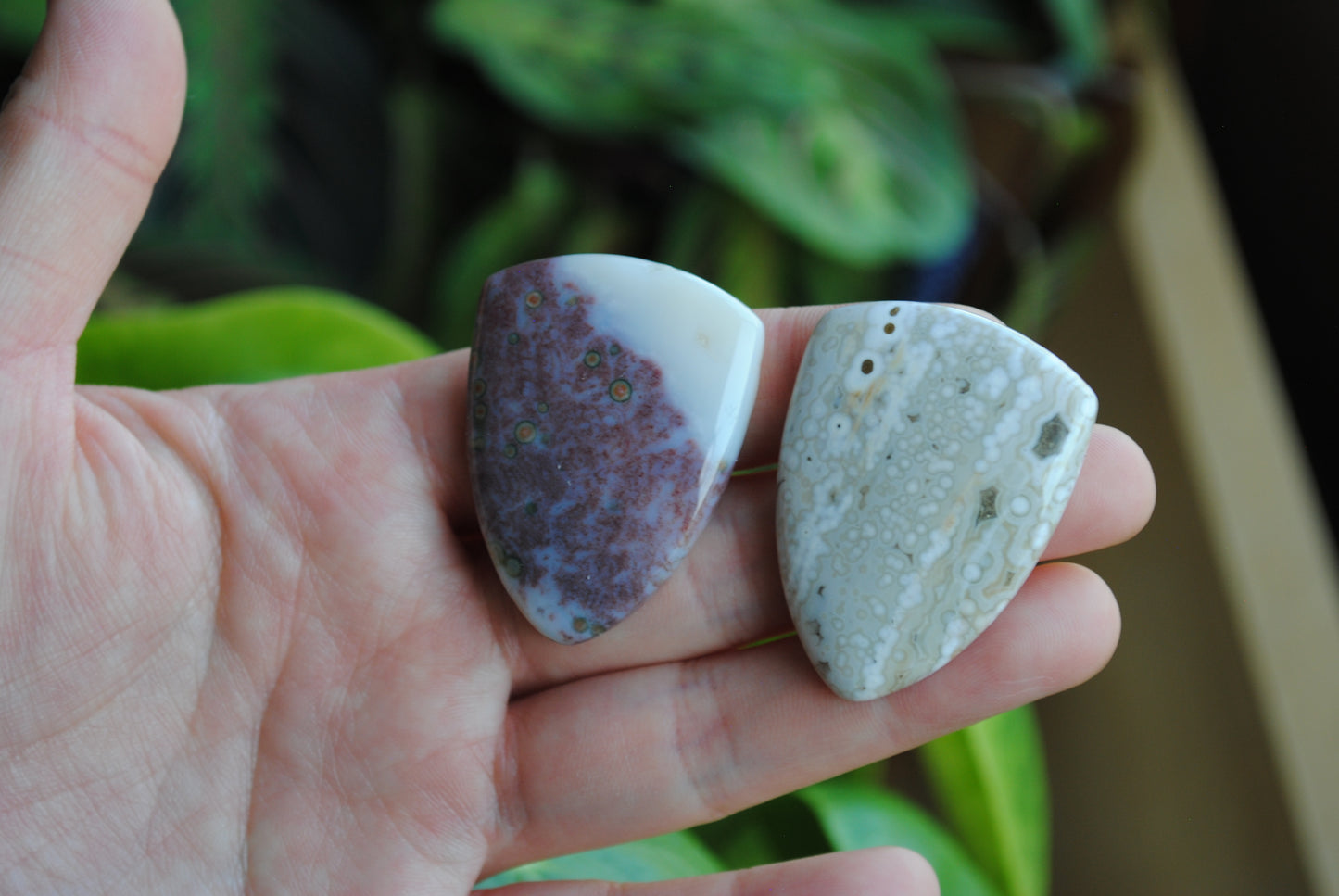 Ocean Jasper 30x40mm shield cabochons