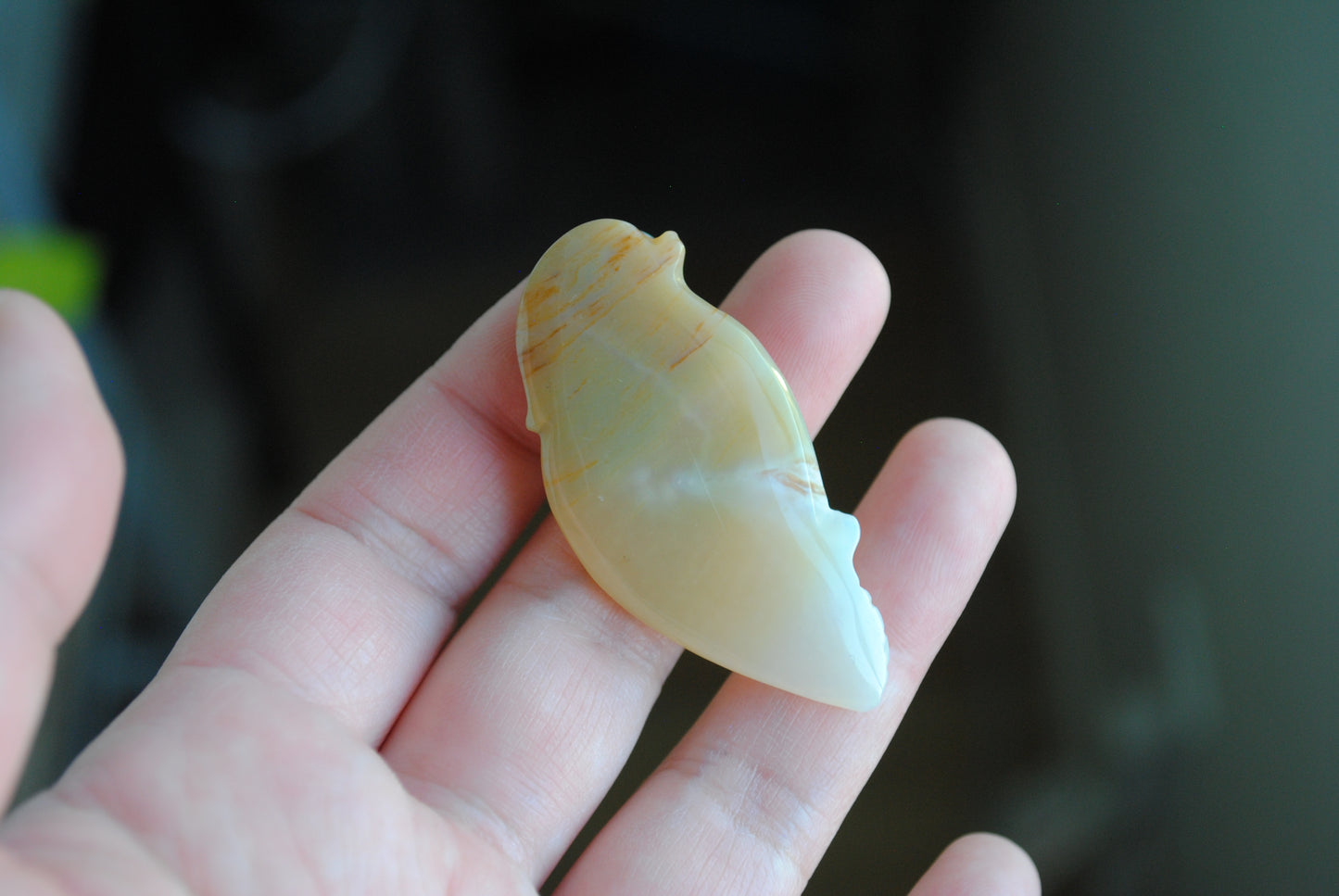 Ocean Jasper carved bird held in a hand against a blurred background