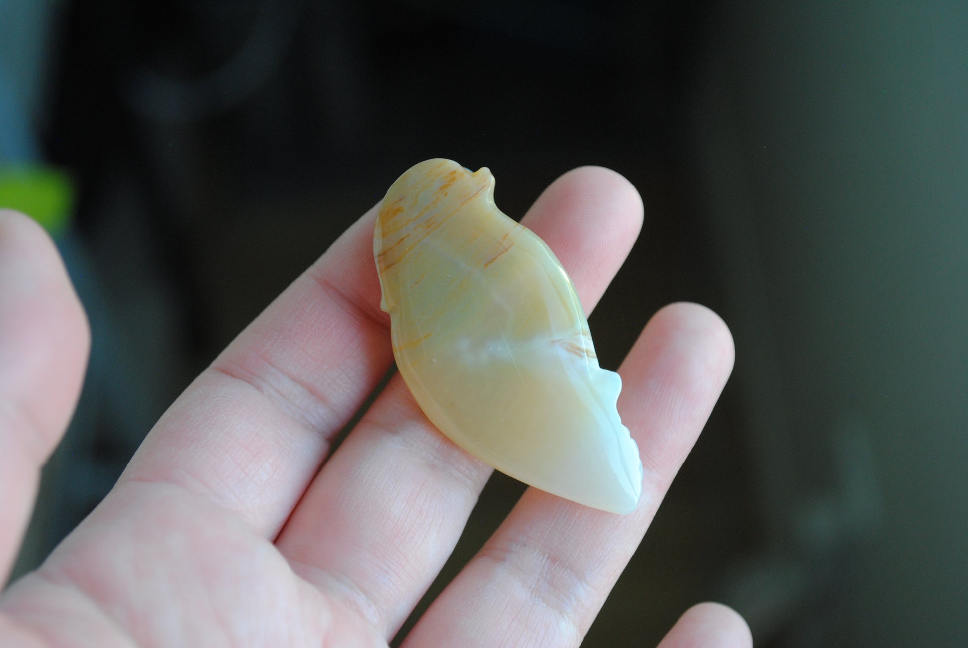 Ocean Jasper carved bird held in a hand against a blurred background