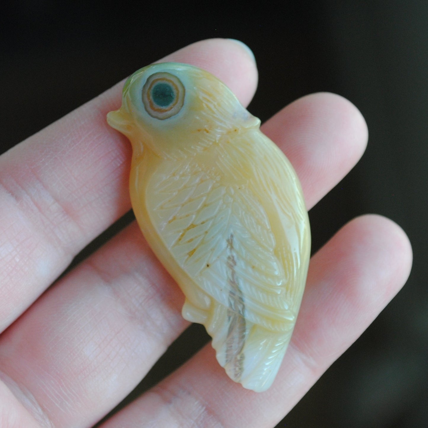 Ocean Jasper carved bird held in a hand against a blurred background