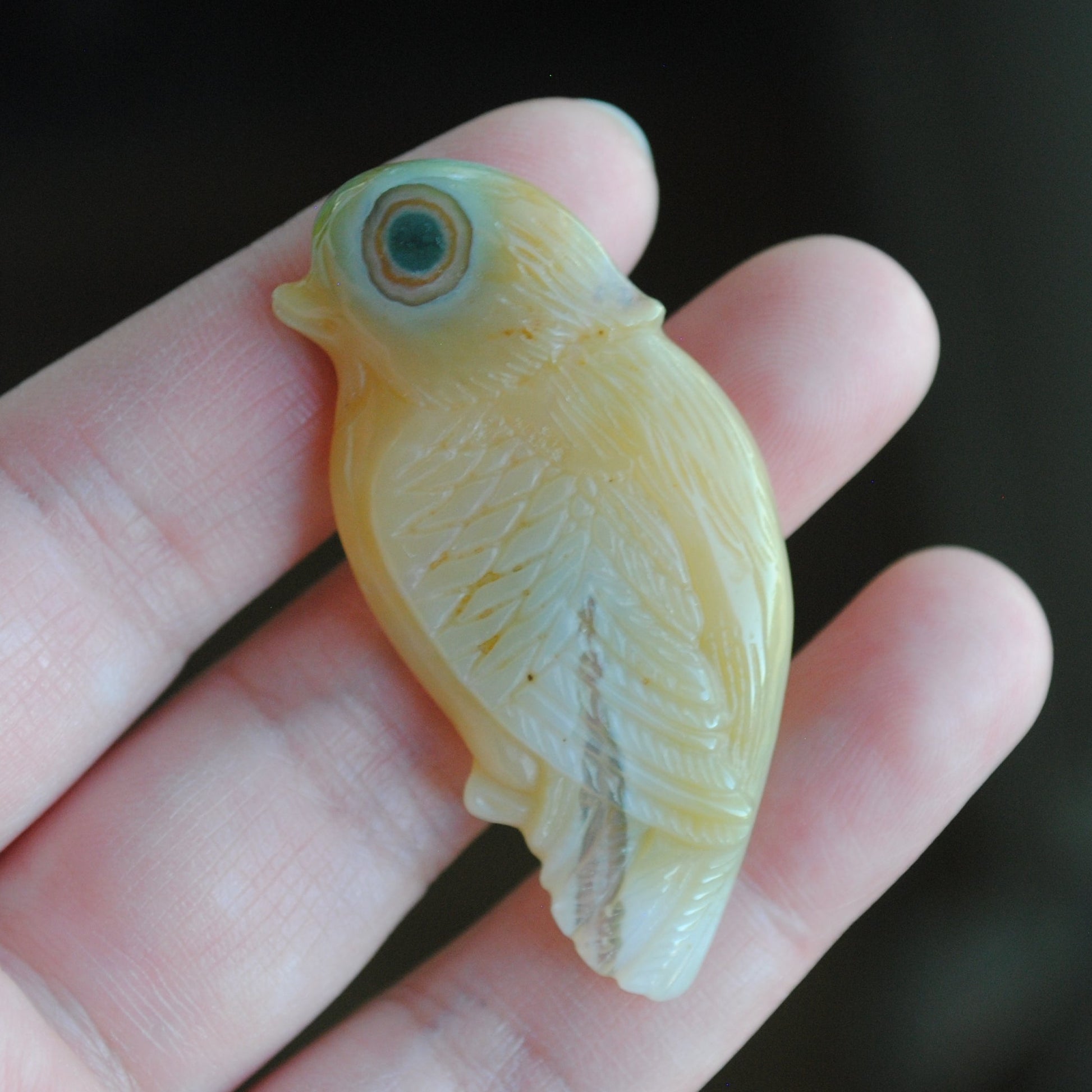 Ocean Jasper carved bird held in a hand against a blurred background
