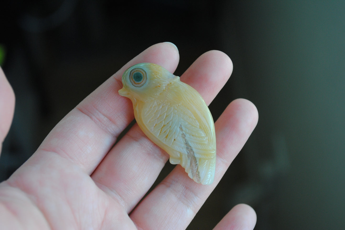 Ocean Jasper carved bird held in a hand against a blurred background