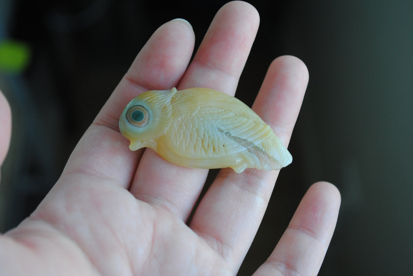 Ocean Jasper carved bird held in a hand against a blurred background