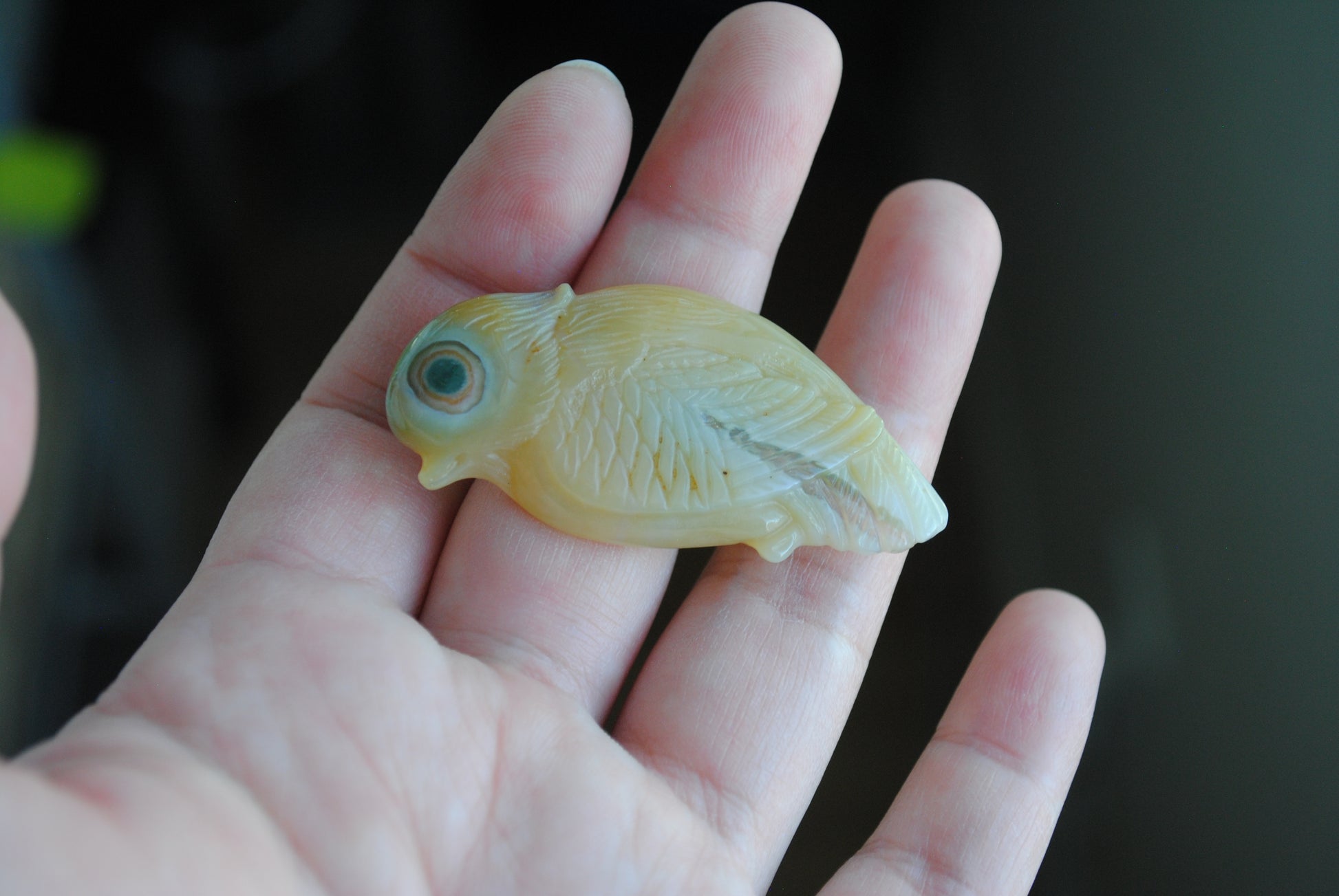 Ocean Jasper carved bird held in a hand against a blurred background