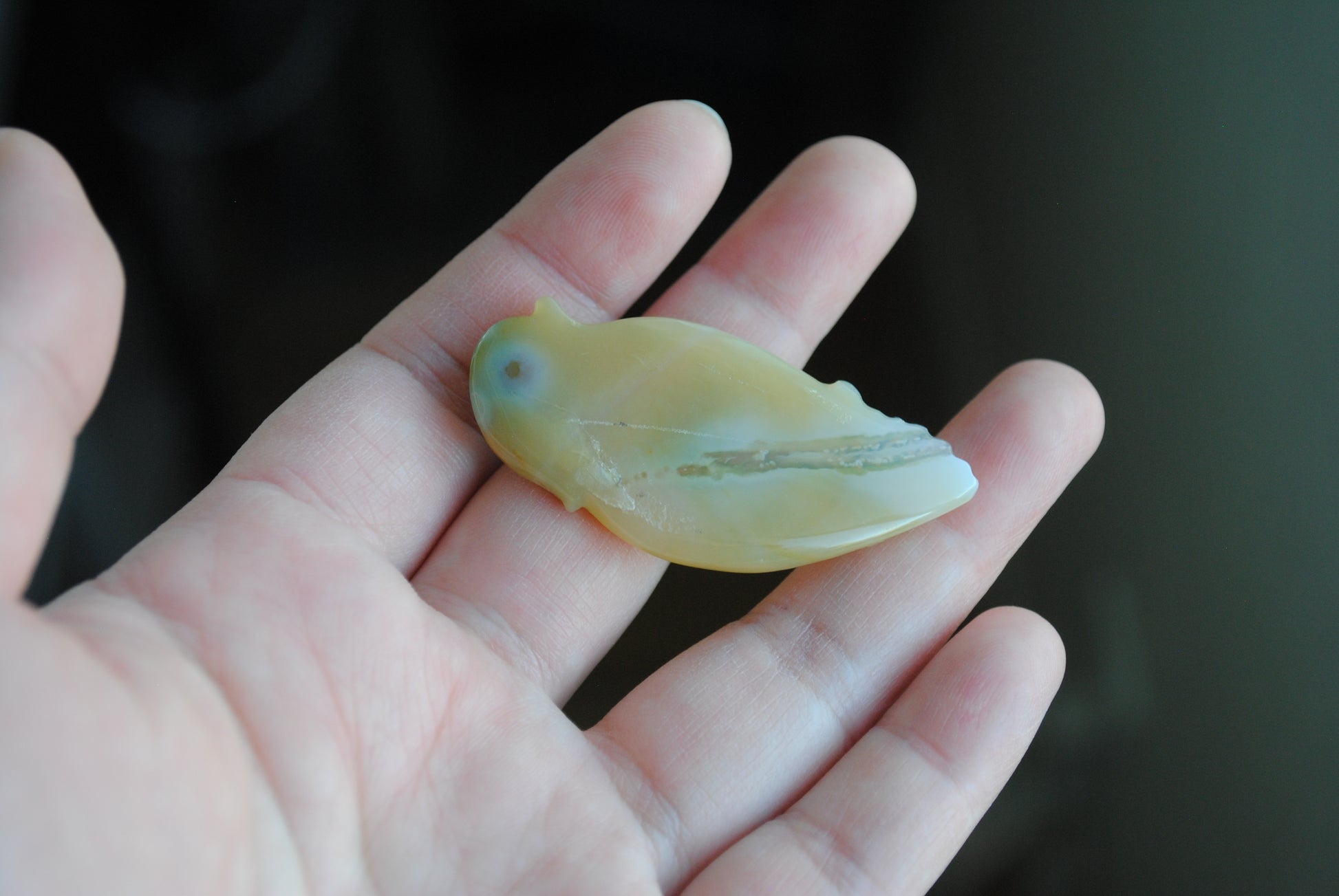 Ocean Jasper carved bird held in a hand against a blurred background