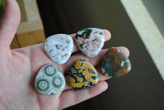 30mm trillion Ocean Jasper cabochons (Lot A)