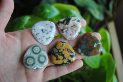 30mm trillion Ocean Jasper cabochons (Lot A)