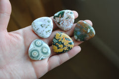 30mm trillion Ocean Jasper cabochons (Lot A)