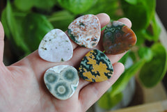 30mm trillion Ocean Jasper cabochons (Lot A)