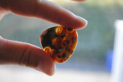 30mm trillion Ocean Jasper cabochons (Lot A)