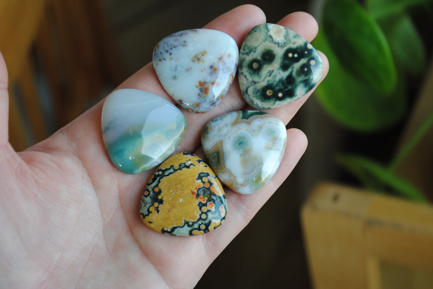 30mm trillion Ocean Jasper cabochons (Lot B)