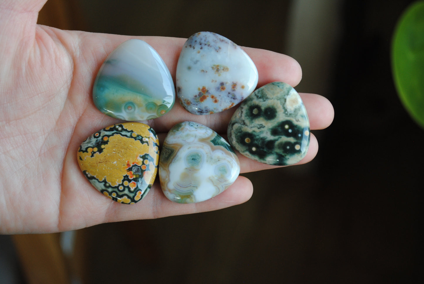 30mm trillion Ocean Jasper cabochons (Lot B)