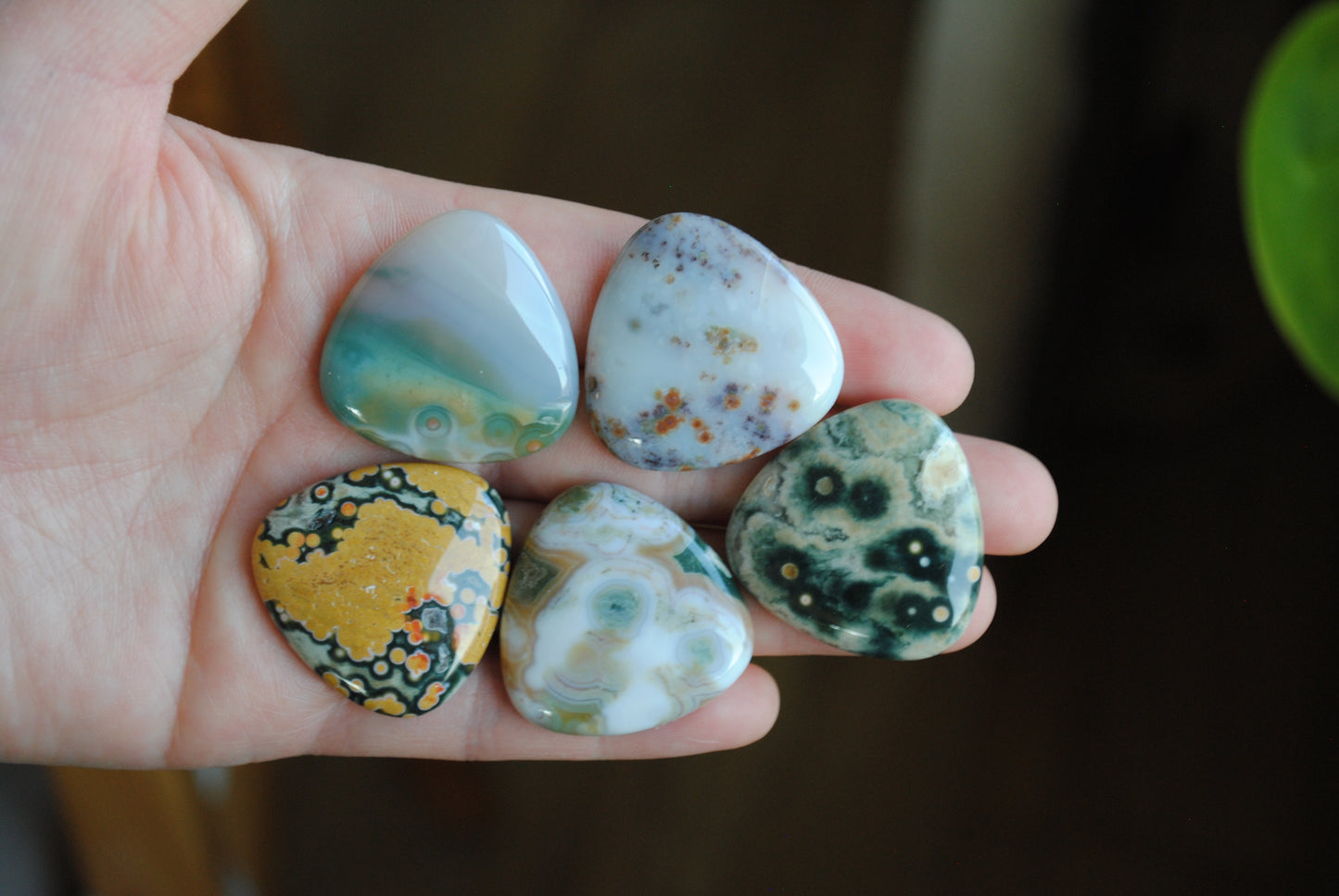 30mm trillion Ocean Jasper cabochons (Lot B)