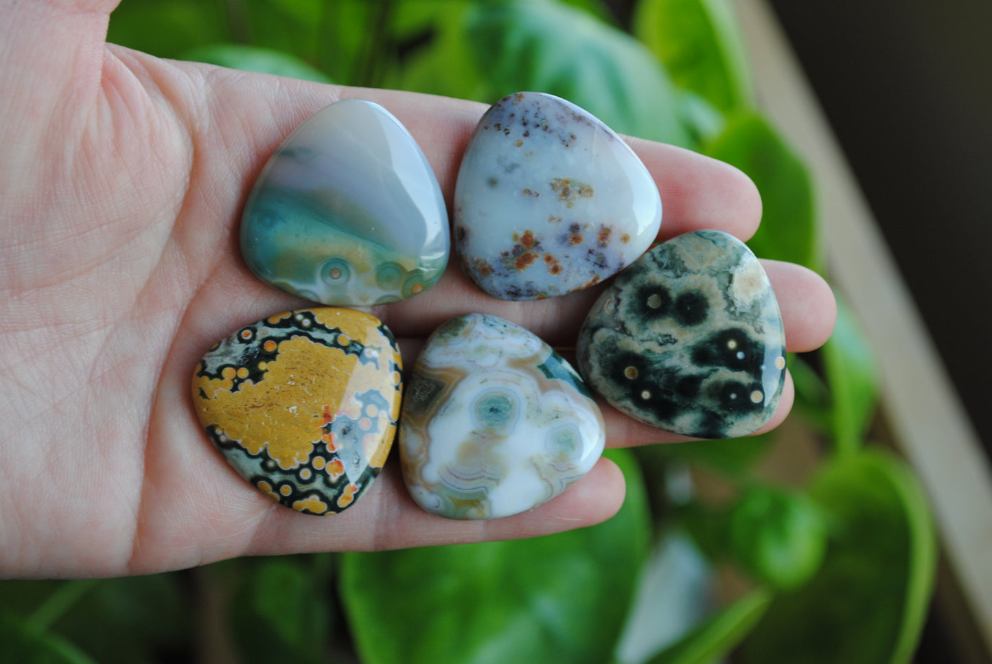 30mm trillion Ocean Jasper cabochons (Lot B)