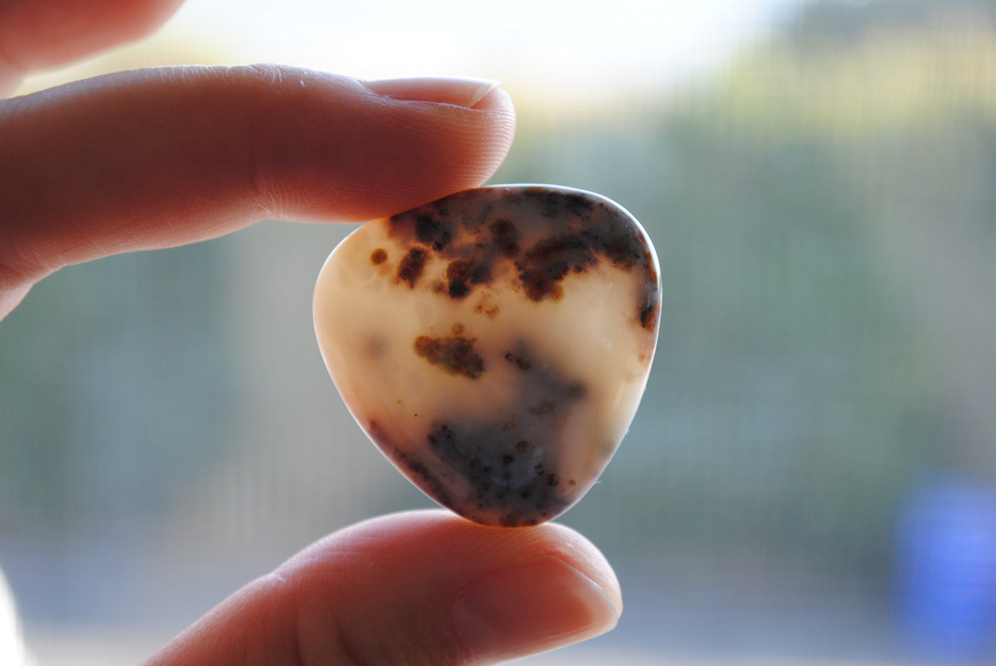 30mm trillion Ocean Jasper cabochons (Lot B)