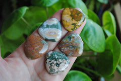 30mm trillion Ocean Jasper cabochons (Lot C)