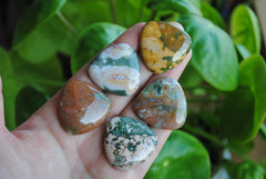 30mm trillion Ocean Jasper cabochons (Lot C)