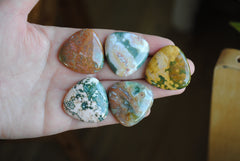 30mm trillion Ocean Jasper cabochons (Lot C)