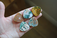 30mm trillion Ocean Jasper cabochons (Lot C)