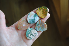 30mm trillion Ocean Jasper cabochons (Lot C)