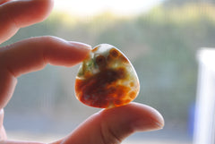 30mm trillion Ocean Jasper cabochons (Lot C)