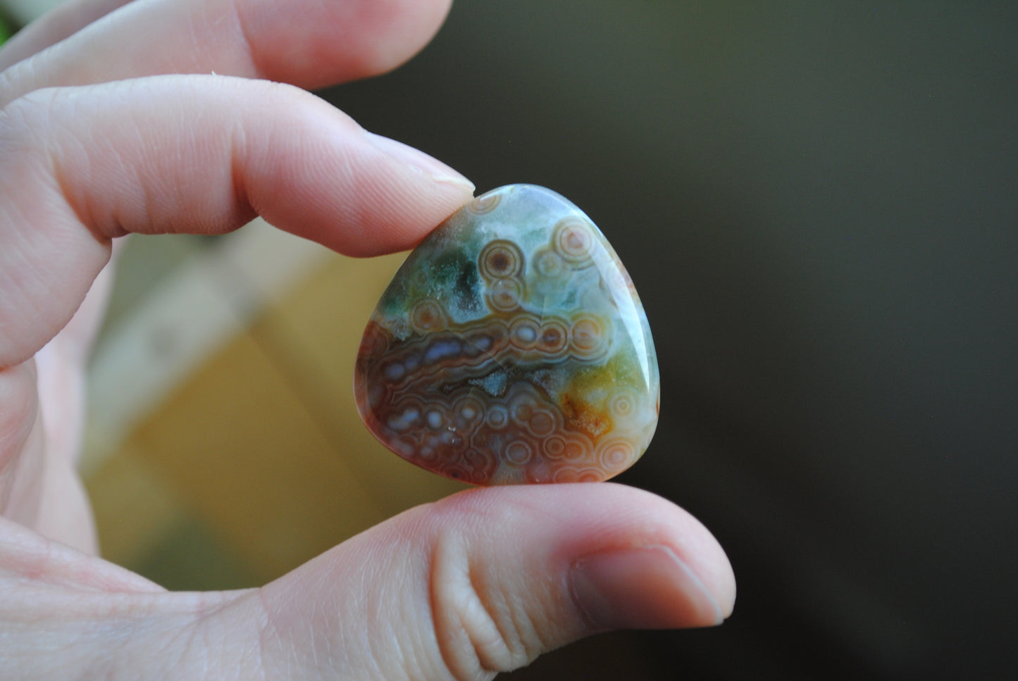 30mm trillion Ocean Jasper cabochons (Lot C)