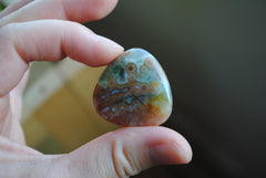 30mm trillion Ocean Jasper cabochons (Lot C)