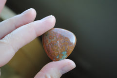 30mm trillion Ocean Jasper cabochons (Lot C)