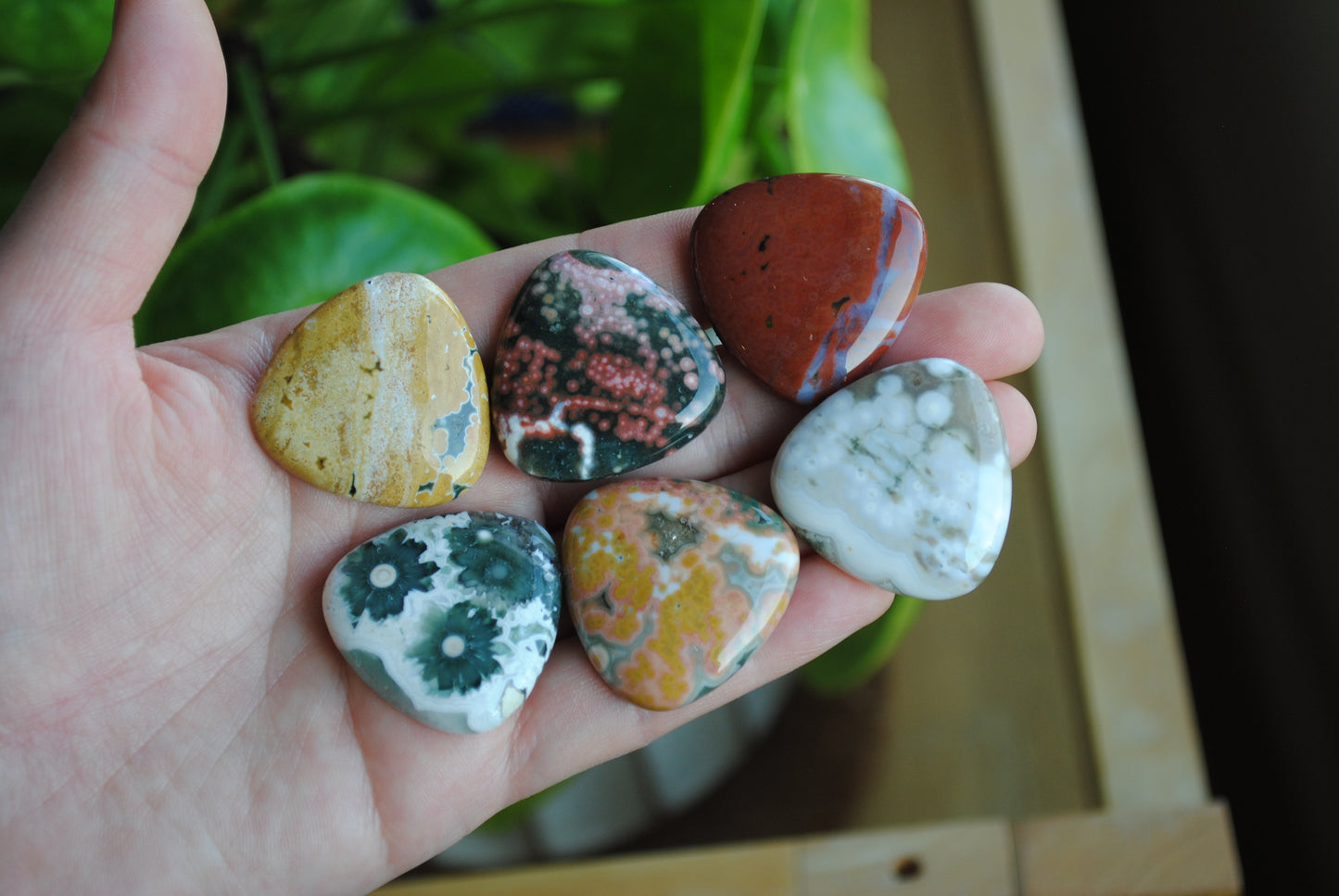 30mm trillion Ocean Jasper cabochons (Lot D)