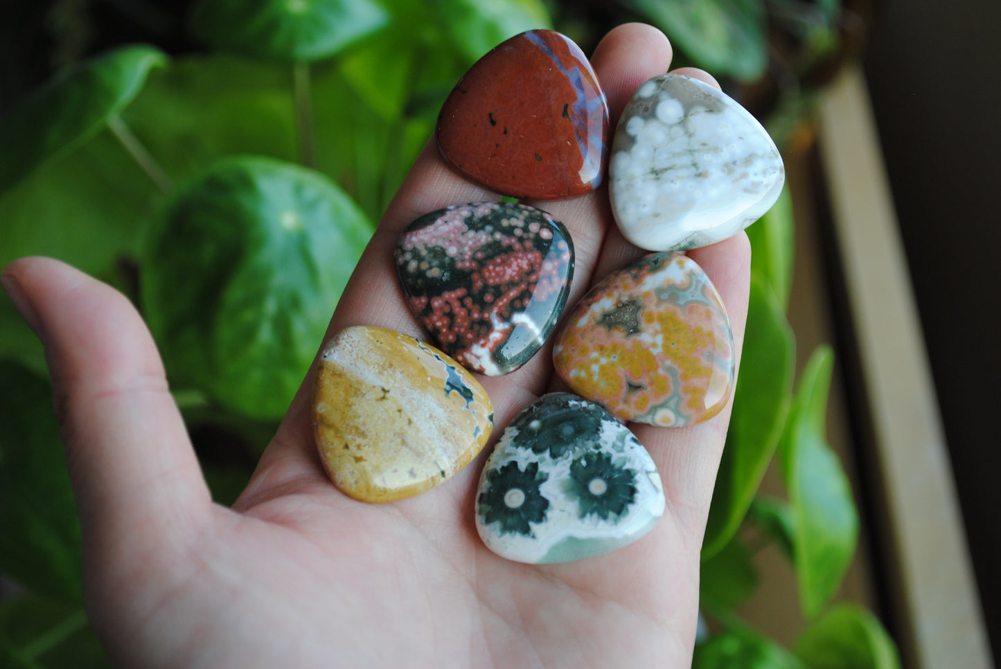 30mm trillion Ocean Jasper cabochons (Lot D)