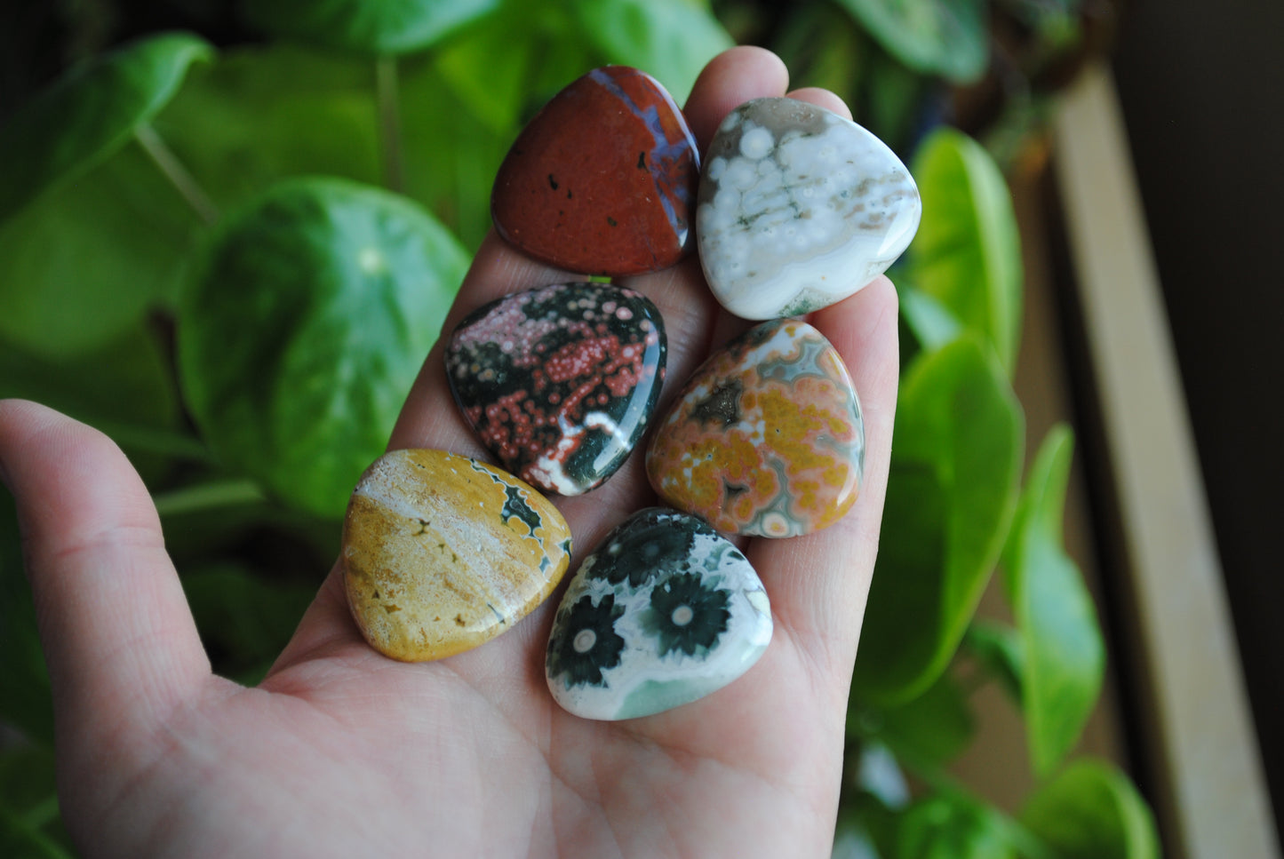 30mm trillion Ocean Jasper cabochons (Lot D)