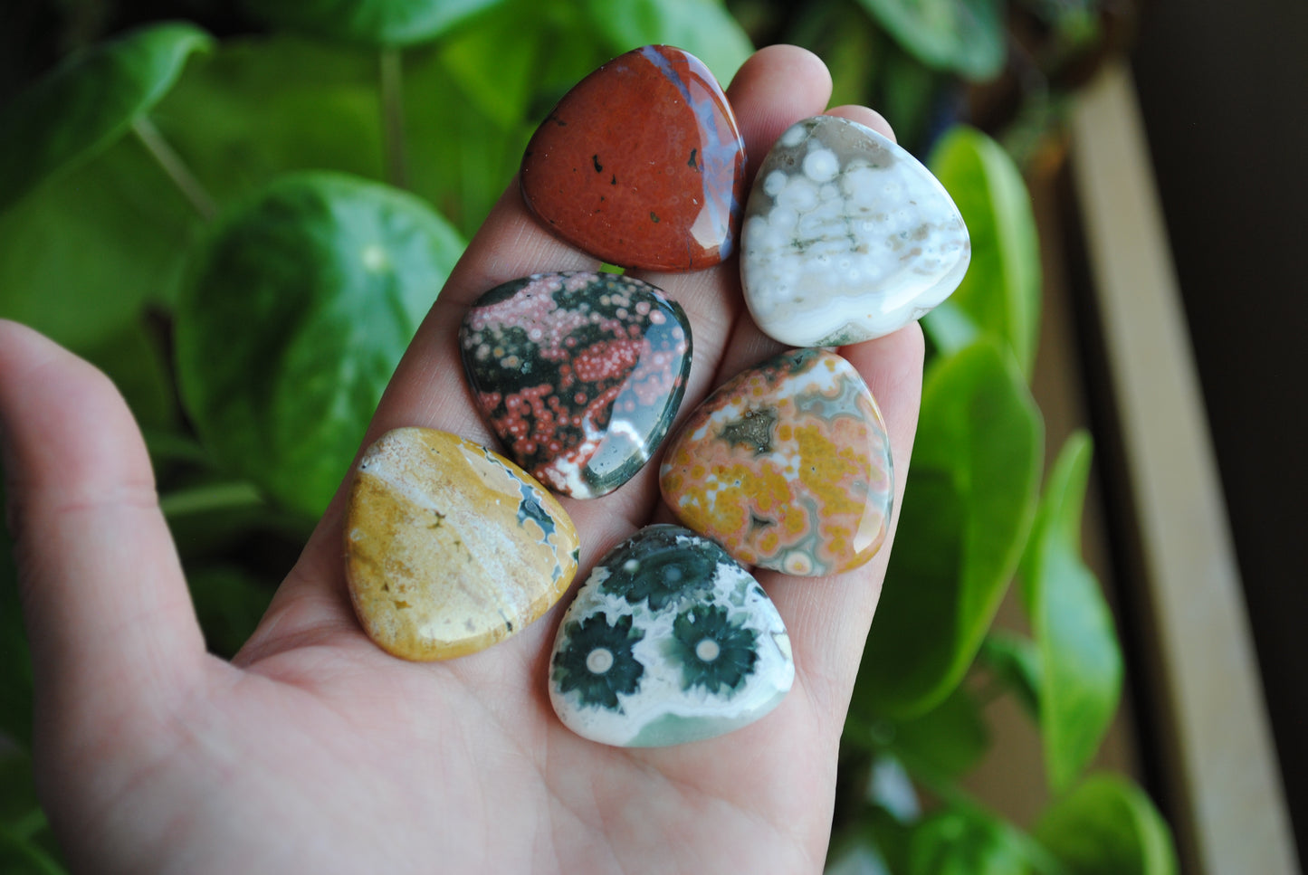30mm trillion Ocean Jasper cabochons (Lot D)