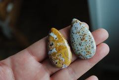 35x20mm drop Ocean Jasper cabochons