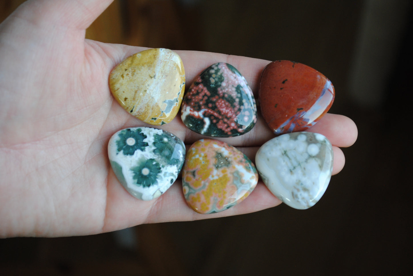 30mm trillion Ocean Jasper cabochons (Lot D)