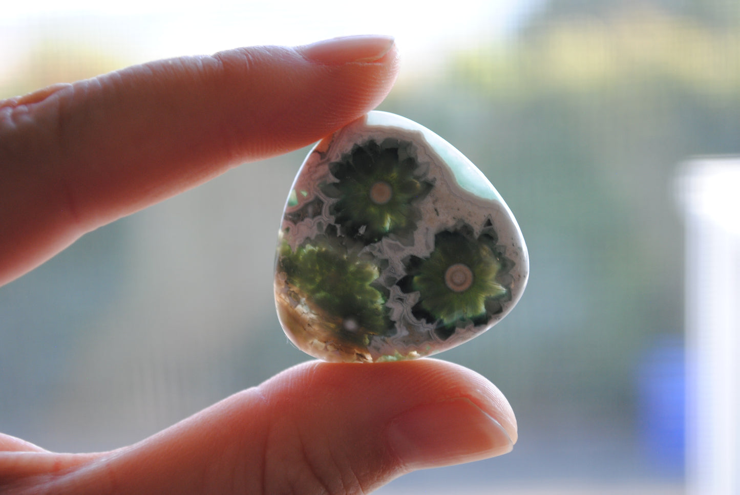 30mm trillion Ocean Jasper cabochons (Lot D)