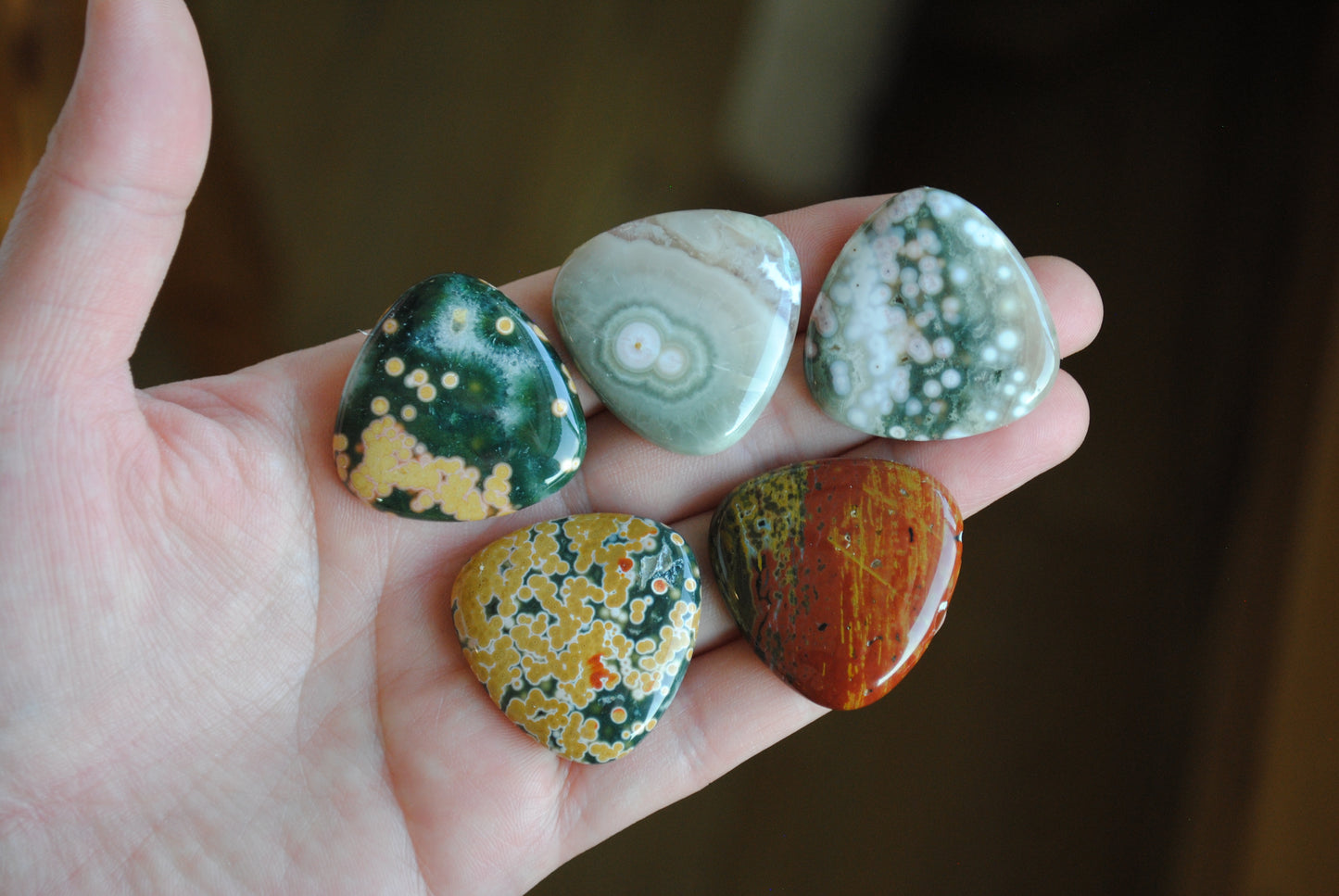 30mm trillion Ocean Jasper cabochons (Lot F)