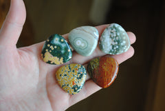 30mm trillion Ocean Jasper cabochons (Lot F)