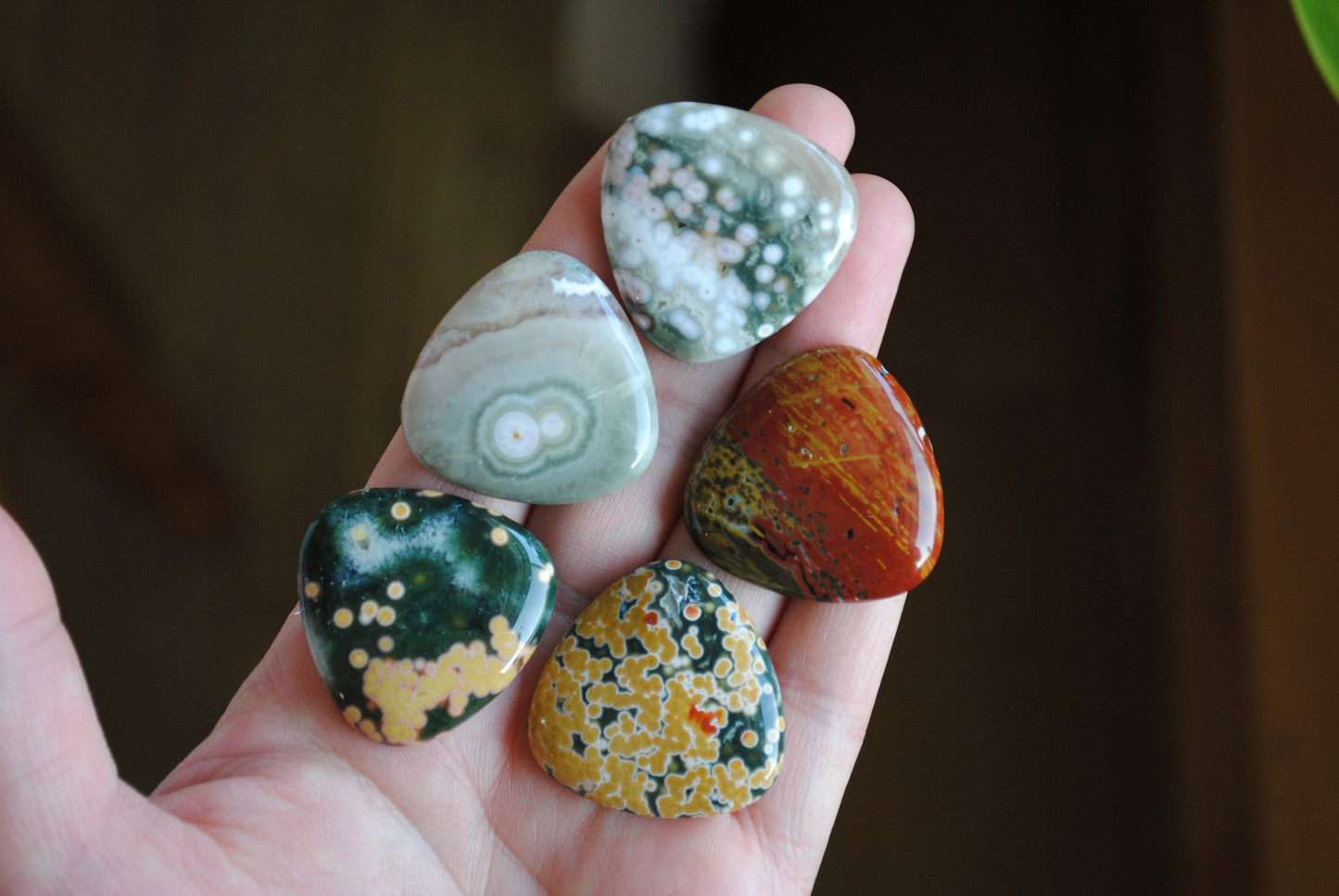 30mm trillion Ocean Jasper cabochons (Lot F)