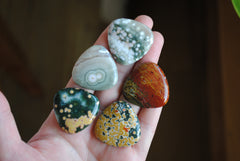 30mm trillion Ocean Jasper cabochons (Lot F)
