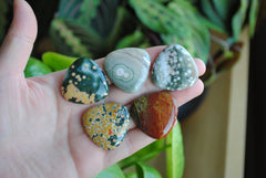 30mm trillion Ocean Jasper cabochons (Lot F)