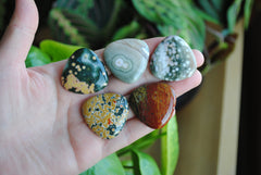30mm trillion Ocean Jasper cabochons (Lot F)