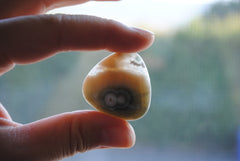 30mm trillion Ocean Jasper cabochons (Lot F)