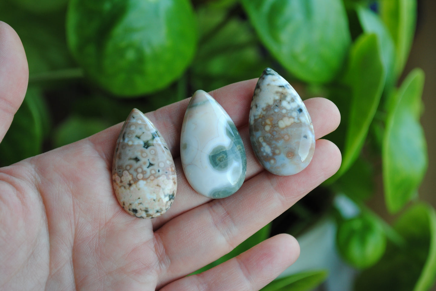 35x20mm drop Ocean Jasper cabochons