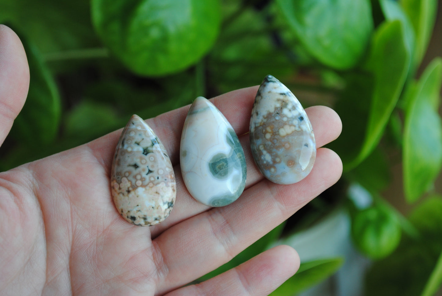 35x20mm drop Ocean Jasper cabochons