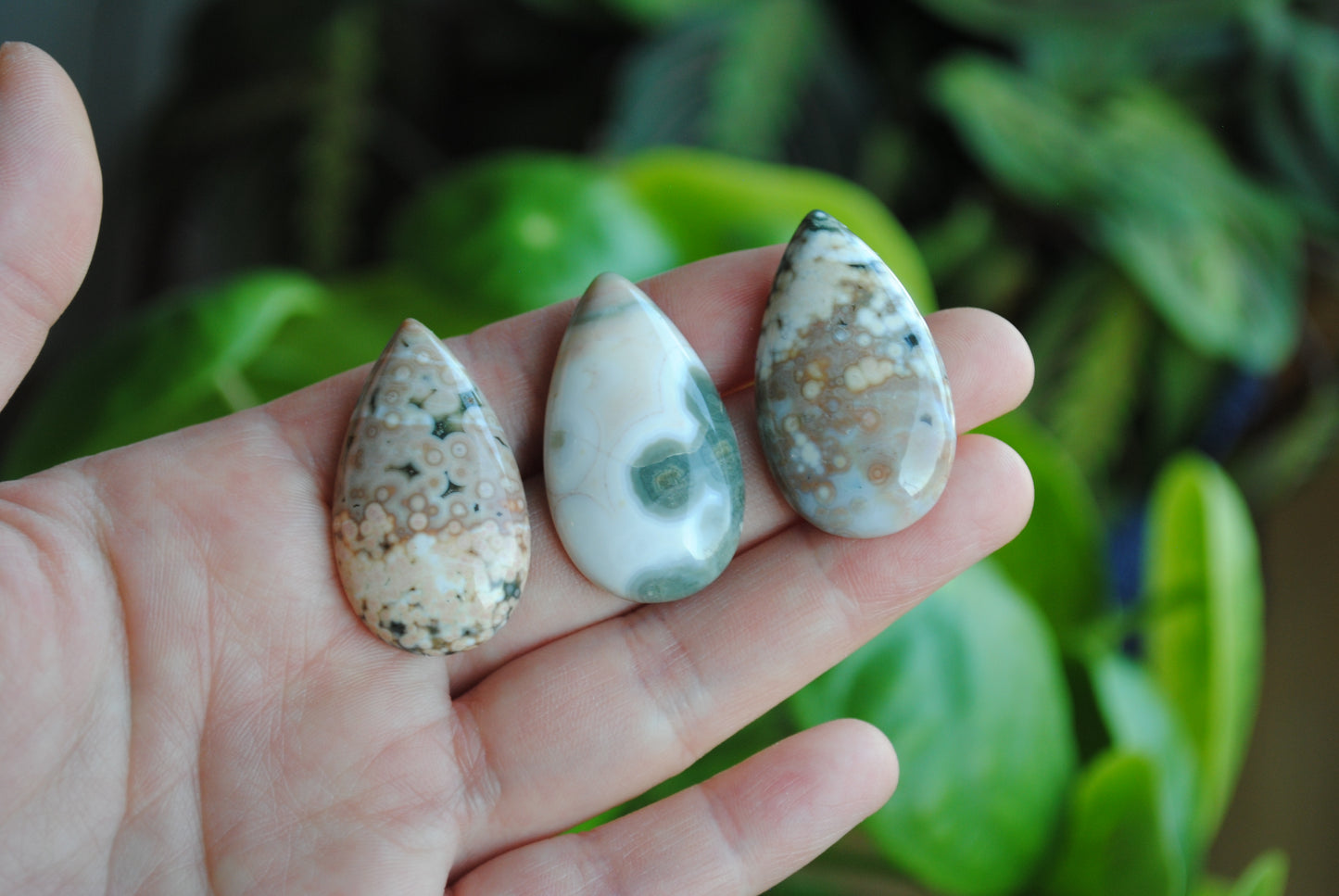35x20mm drop Ocean Jasper cabochons