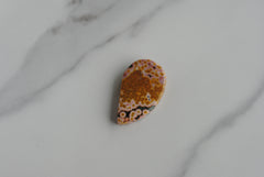 Ocean Jasper freeform cabochon