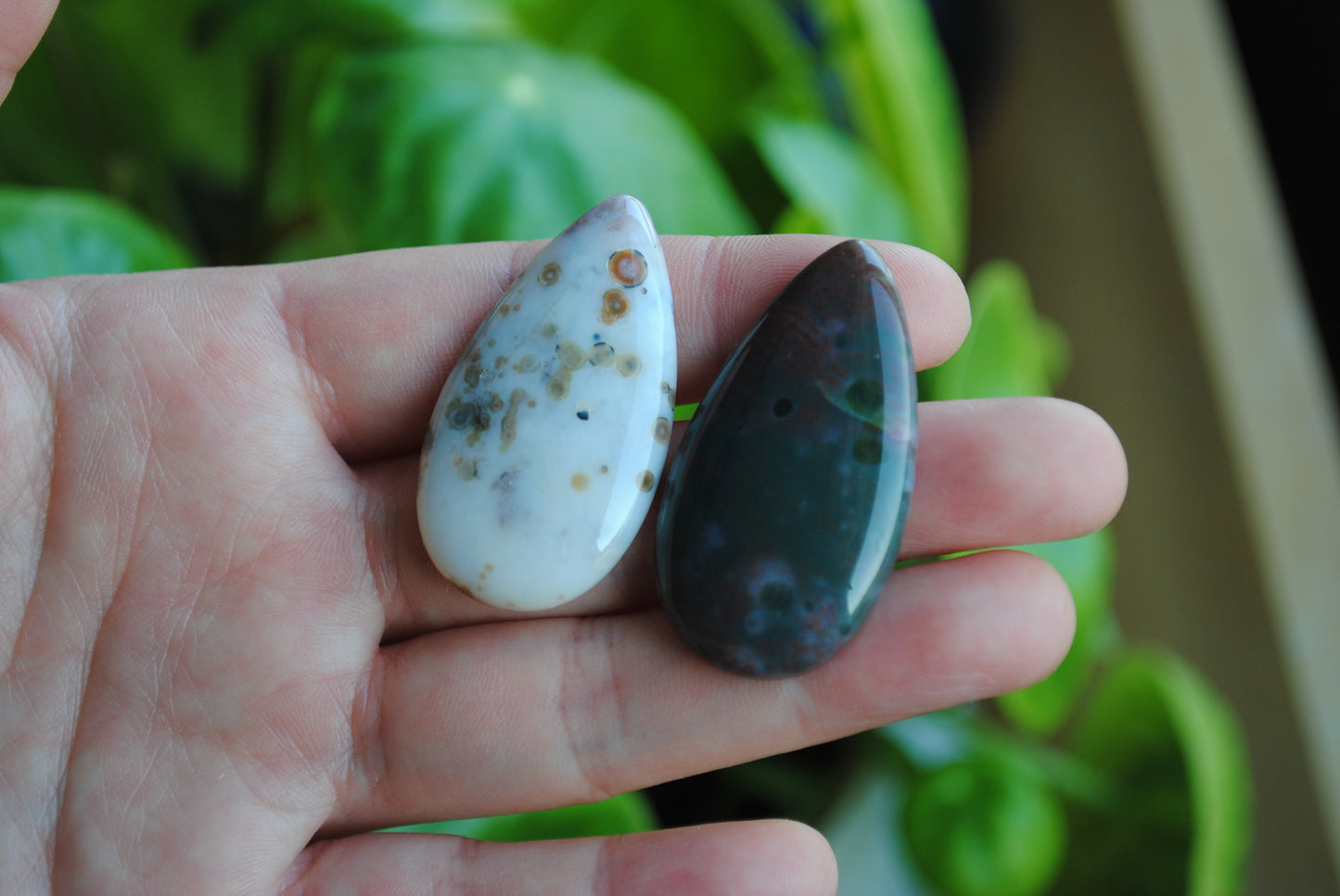 40 x 22mm drop Ocean Jasper cabochons
