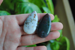 40 x 22mm drop Ocean Jasper cabochons